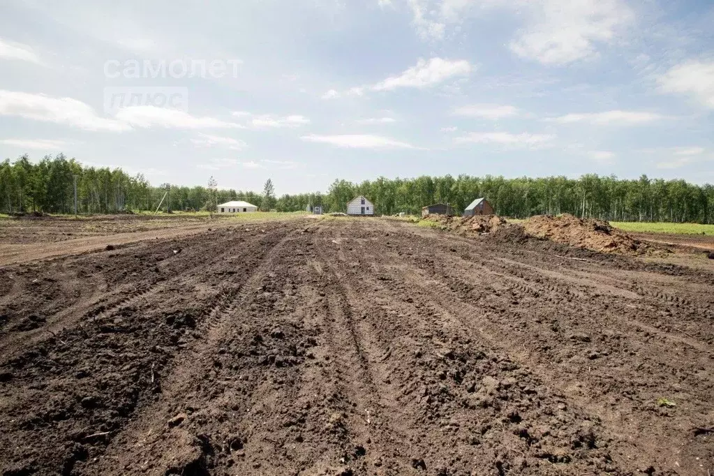 Участок в Челябинская область, Сосновский район, Кременкульское с/пос, ... - Фото 0