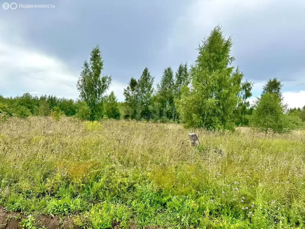 Участок в Ярославская область, Переславль-Залесский муниципальный ... - Фото 1