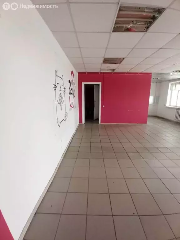 Помещение свободного назначения (48.8 м) - Фото 1