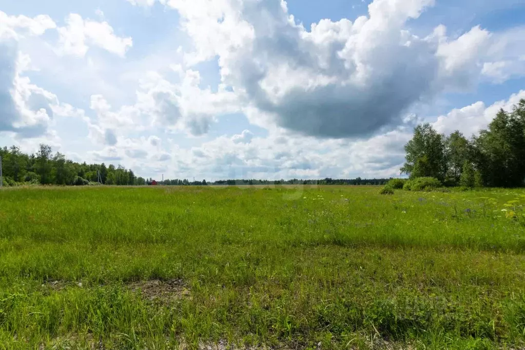 Участок в Тюменская область, Тюменский муниципальный округ, Дачи Хюгге ... - Фото 1