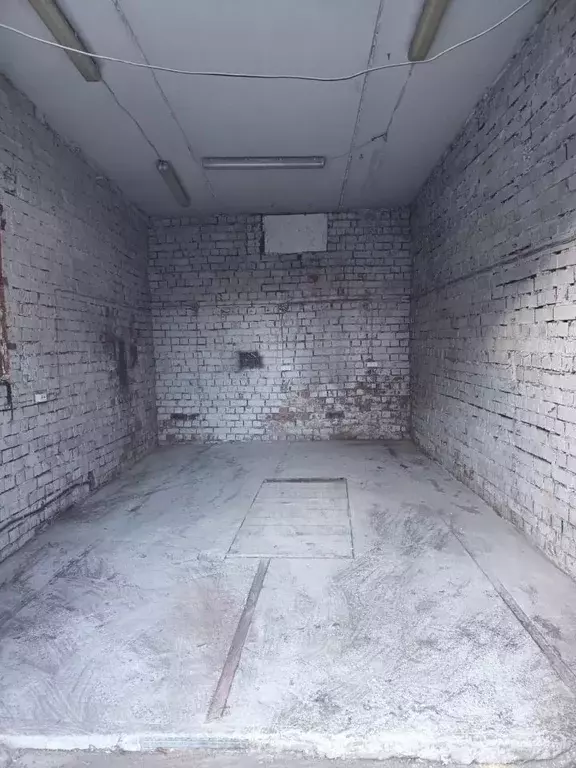 Помещение свободного назначения в Иркутская область, Иркутск ул. Карла ... - Фото 1