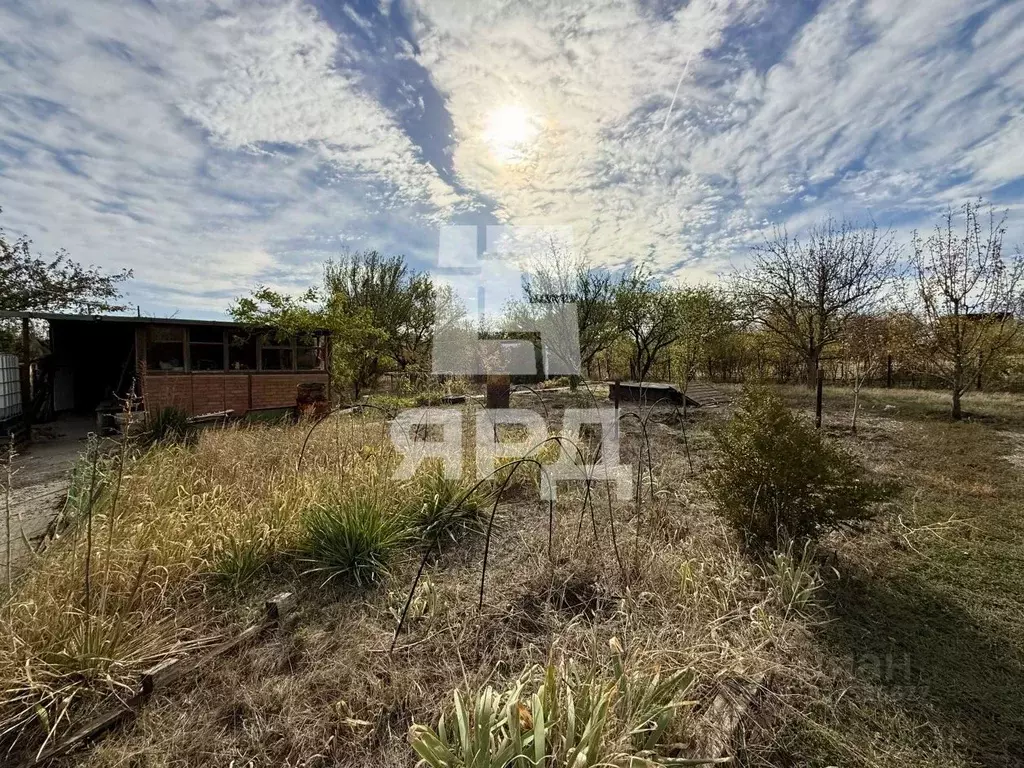 Участок в Ростовская область, Неклиновский район, ... - Фото 2
