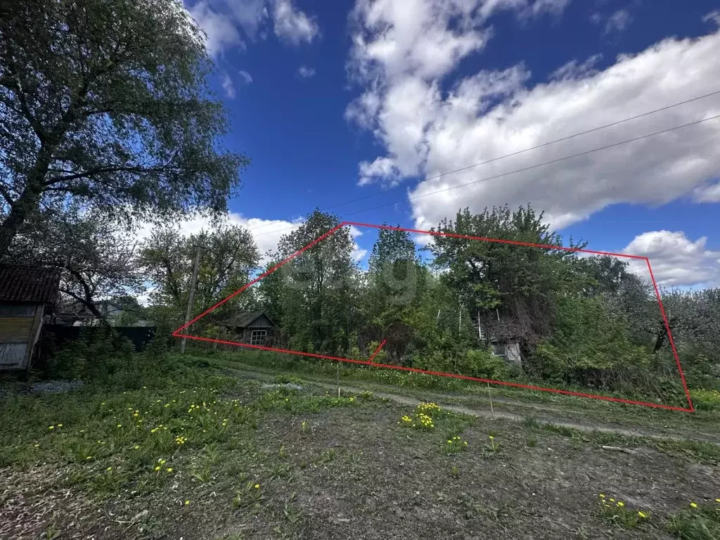Участок в Брянская область, Брянск Родина садоводческое объединение,  ... - Фото 1