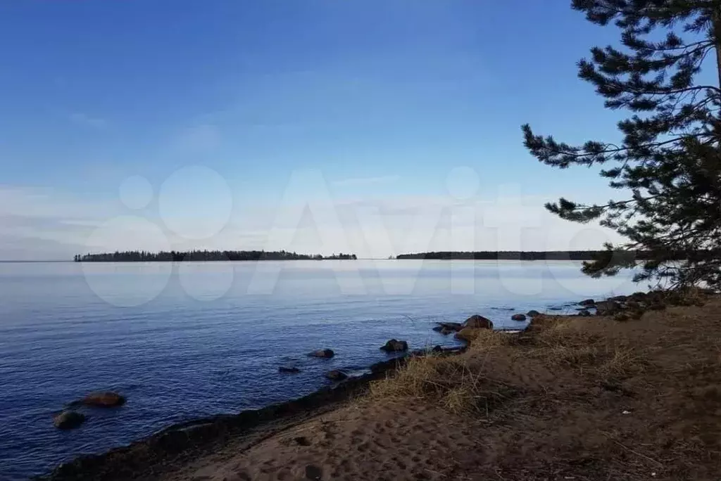 Участок 100 сот. (СНТ, ДНП) - Фото 1