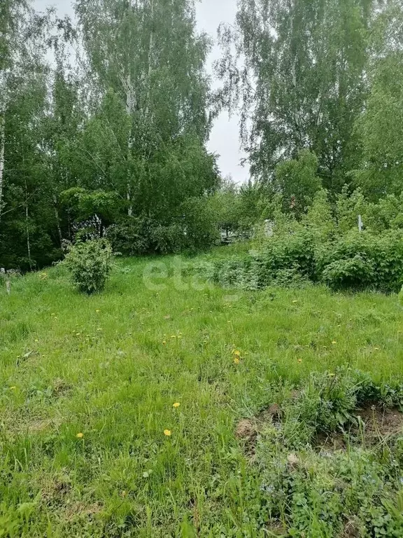 Участок в Калужская область, Калуга городской округ, д. Воровая  (8.0 ... - Фото 2