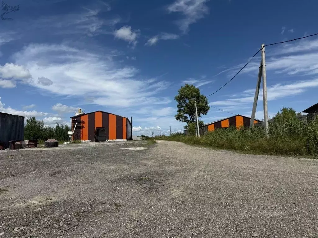 Участок в Хабаровский край, Хабаровский район, с. Восточное  (10.0 ... - Фото 2