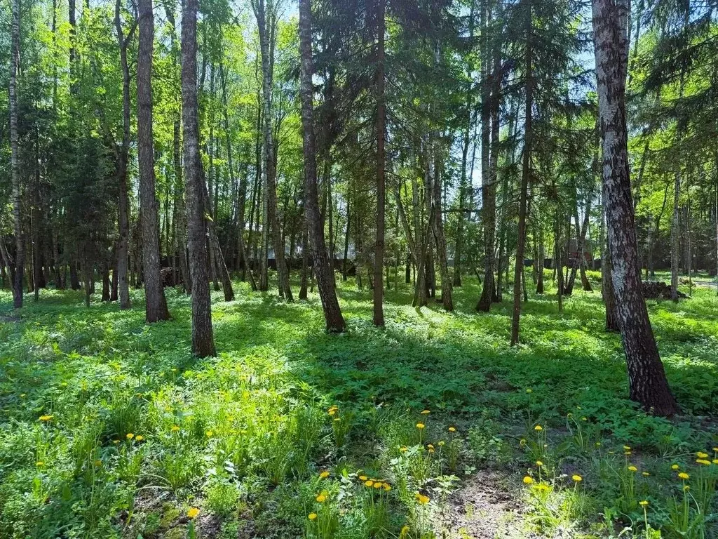 Участок в Московская область, Одинцовский городской округ, пос. Дома ... - Фото 2