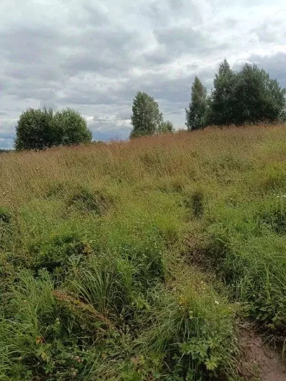 Участок в Московская область, Солнечногорск городской округ, д. ... - Фото 1