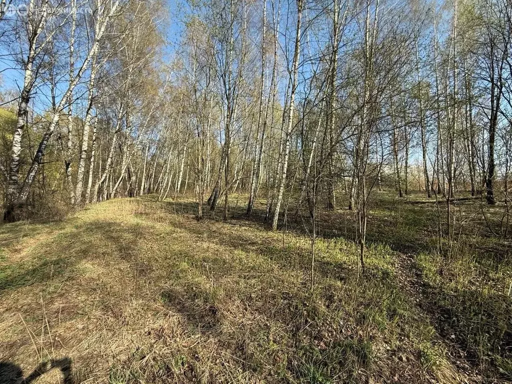 Участок в деревня Спасское, Спасское кладбище (107 м) - Фото 1