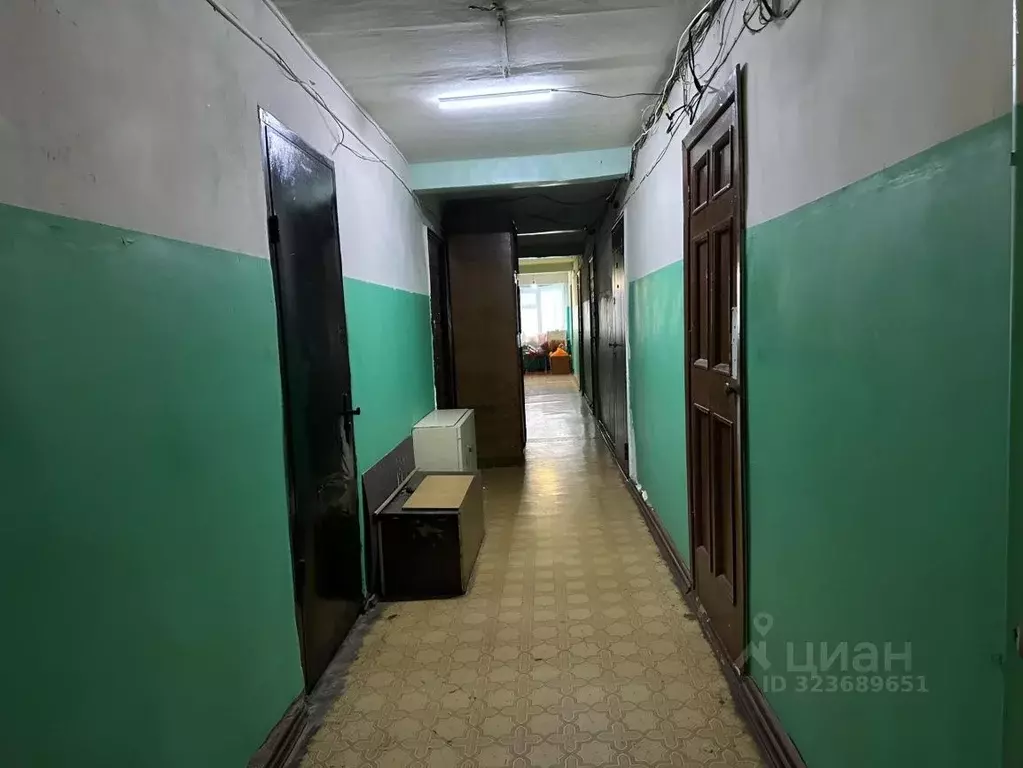 Студия Новгородская область, Великий Новгород Район Софийская сторона, ... - Фото 1