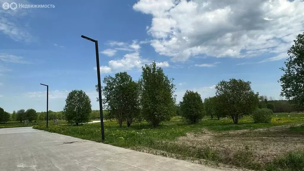 Участок в Московская область, Дмитровский муниципальный округ, КП ... - Фото 1