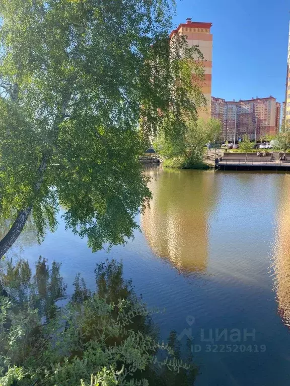 1-к кв. Московская область, Люберцы городской округ, д. Островцы, ... - Фото 1