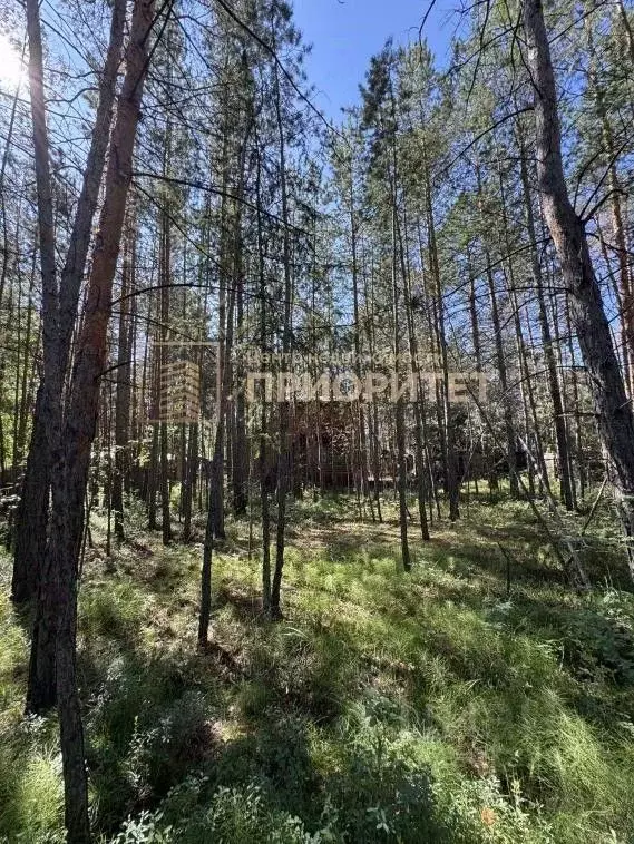 Дом в Саха (Якутия), Якутск Сергеляхское ш. (30 м) - Фото 2