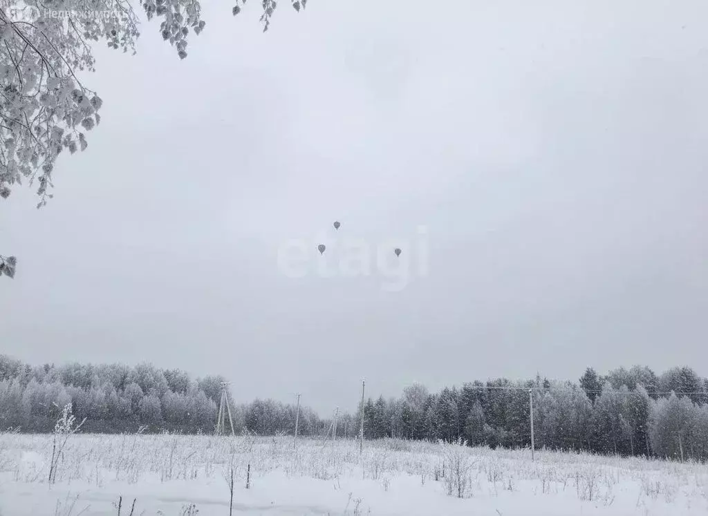 Участок в Шигалеевское сельское поселение, село Новое Шигалеево, ... - Фото 2