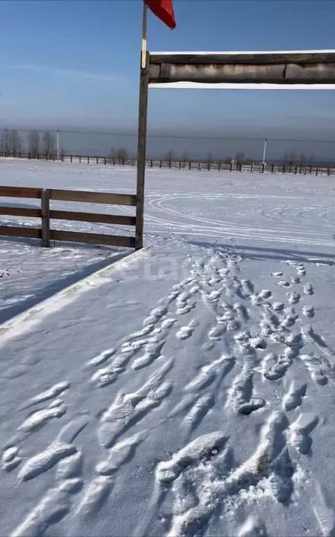 Участок в Забайкальский край, Читинский район, пос. Береговой  (899.8 ... - Фото 0