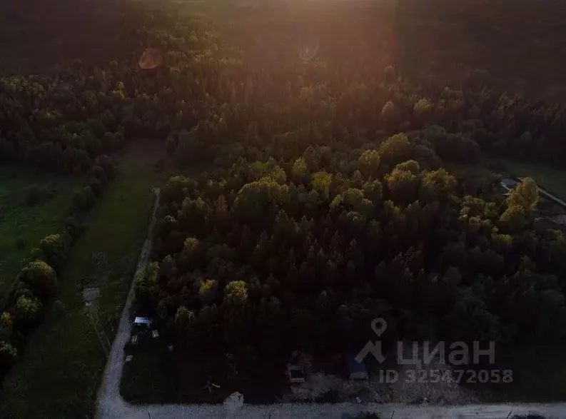 Участок в Ленинградская область, Ломоносовский район, Лопухинское ... - Фото 1