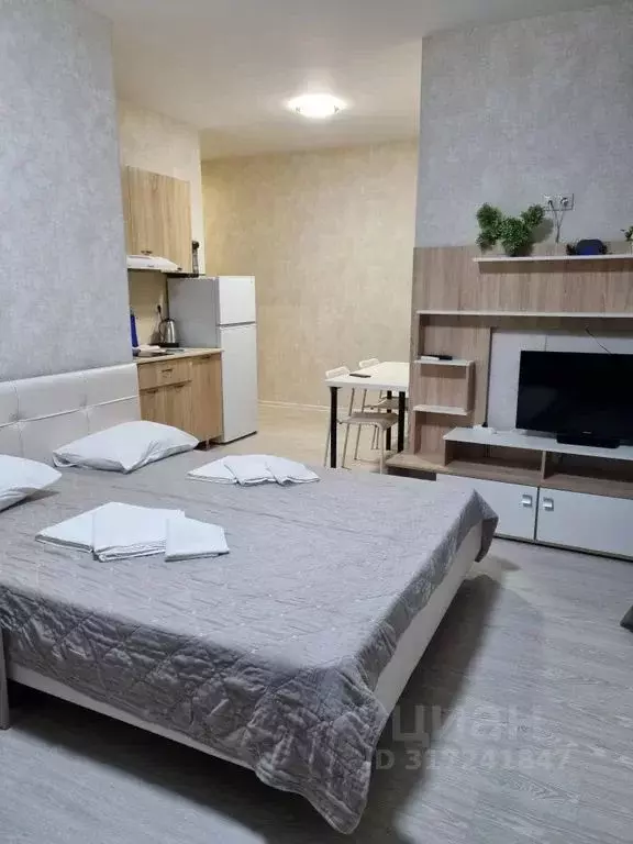 Студия Краснодарский край, Сириус пгт ул. Ружейная, 37 (30.0 м) - Фото 0