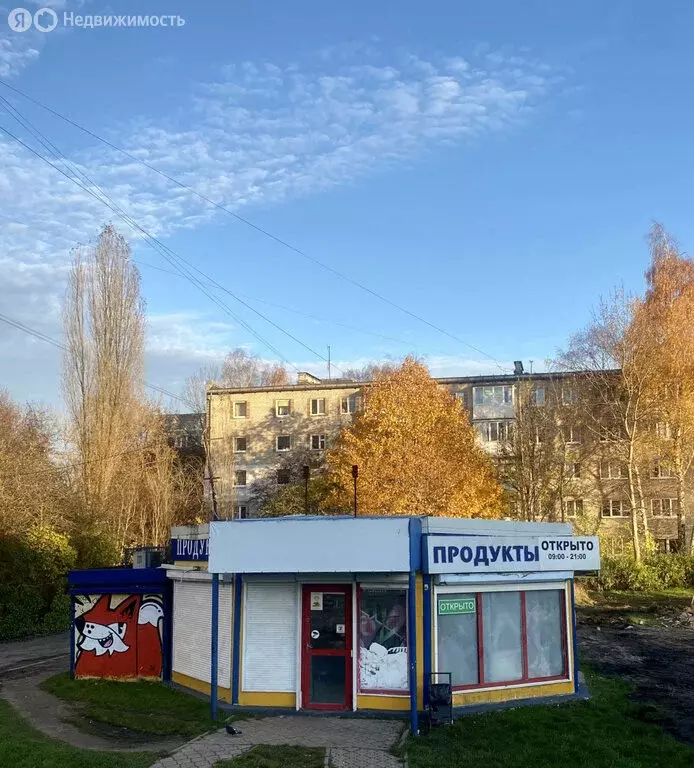 Торговая площадь (52.4 м) - Фото 1