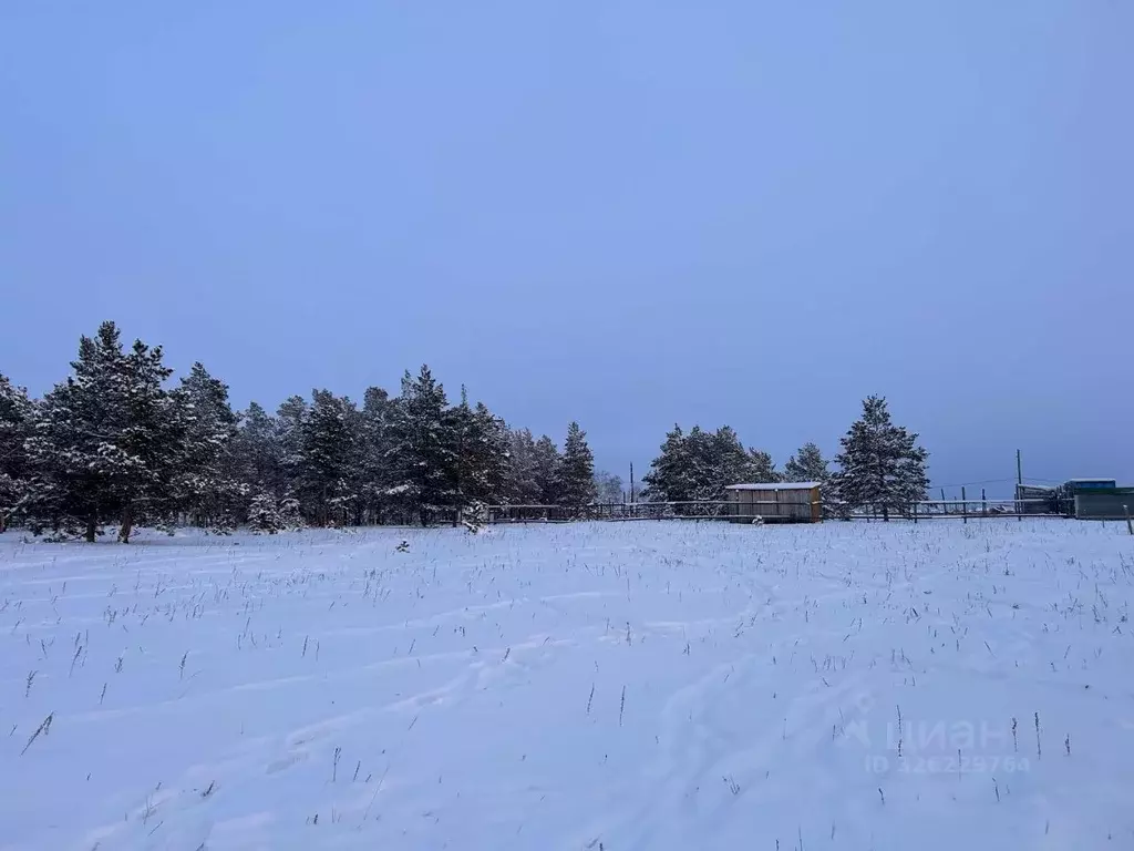 Участок в Саха (Якутия), Якутск городской округ, с. Сырдах  (8.0 сот.) - Фото 2
