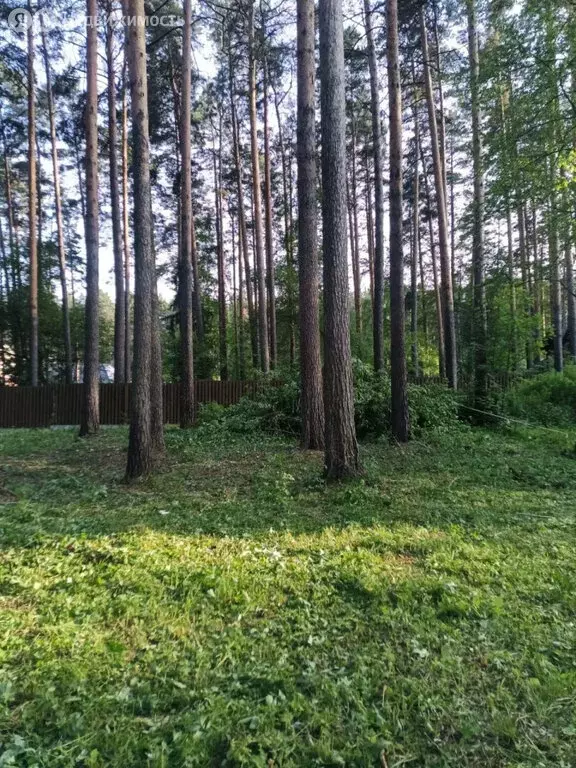 Участок в Екатеринбург, СНТ Исток (12.02 м) - Фото 1