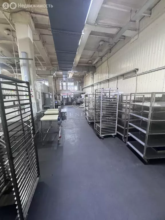 Производственное помещение (2400 м) - Фото 2