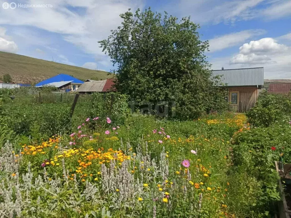 Участок в Челябинская область, Ашинский муниципальный округ, посёлок ... - Фото 1