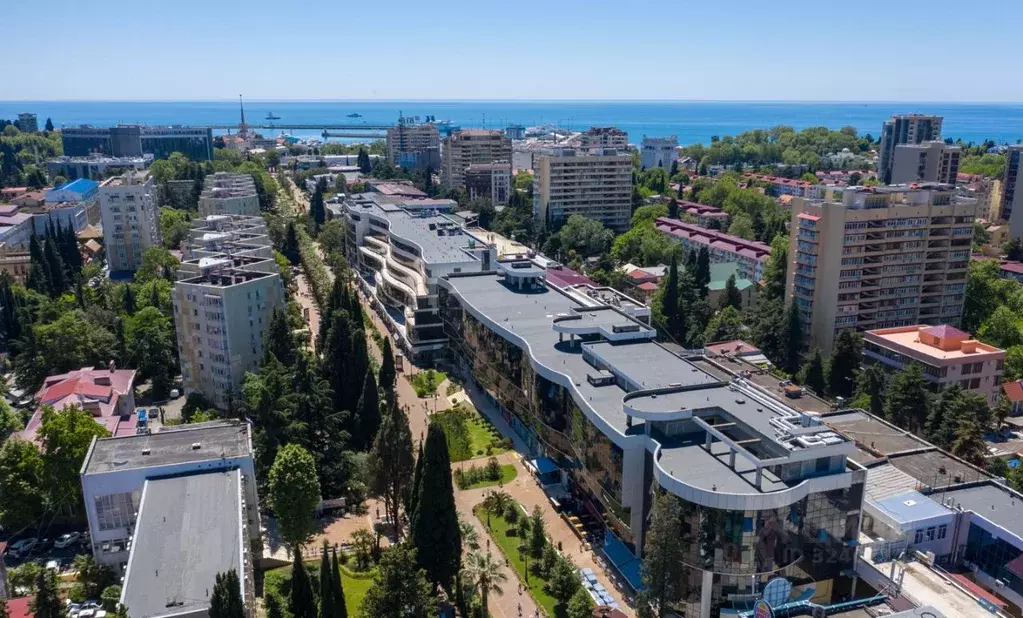 Помещение свободного назначения в Краснодарский край, Сочи Центральный ... - Фото 2