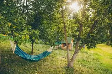 Дом в Алтайский край, Белокуриха Проходная ул., 38 (200 м) - Фото 1