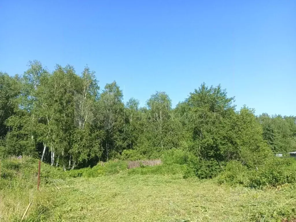 Участок в Тюменская область, Тюмень Плодовое СНТ, 712 (9.1 сот.) - Фото 1