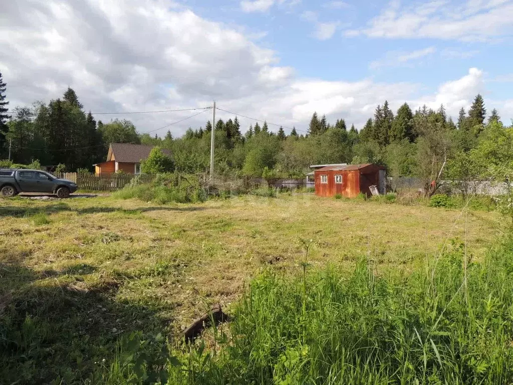 Участок в Вологодская область, Авиатор садоводческое товарищество  ... - Фото 1