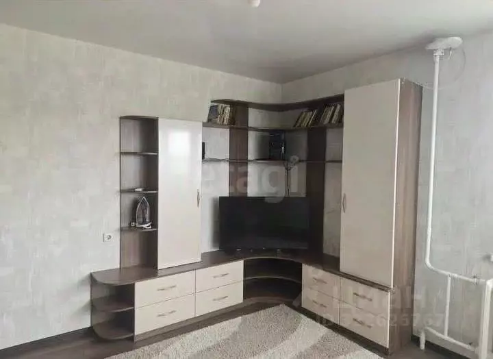 1-к кв. Амурская область, Благовещенский район, с. Чигири ул. ... - Фото 2