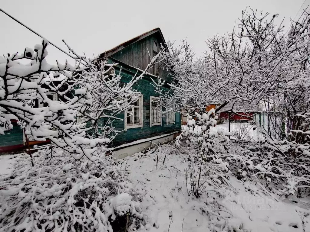 Дом в Тамбовская область, Мичуринск ул. Маяковского (31 м) - Фото 0