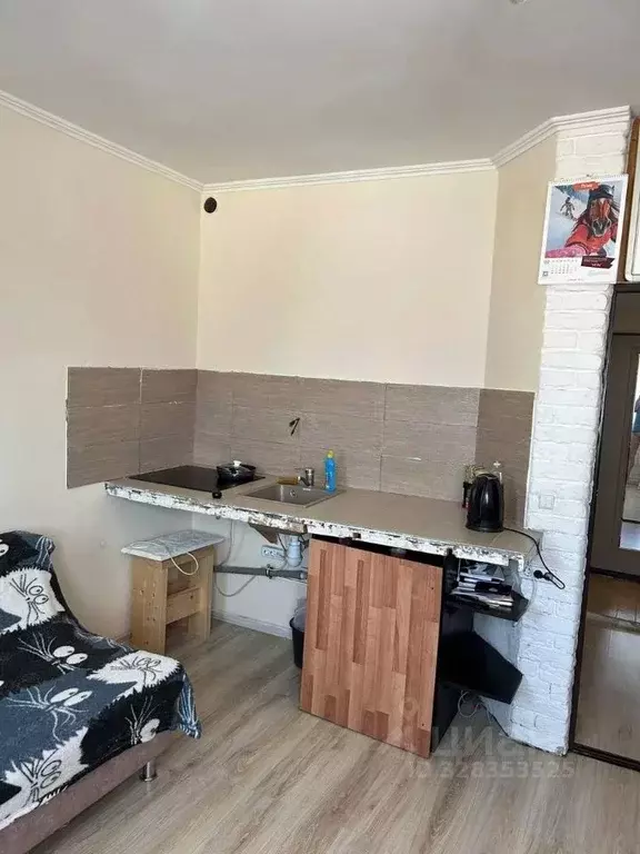 Студия Московская область, Воскресенск городской округ, д. Ворщиково ... - Фото 2