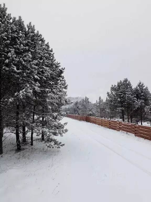 Дом в Алтай, Чемальский район, Элекмонарское с/пос, с. Элекмонар ул. ... - Фото 2