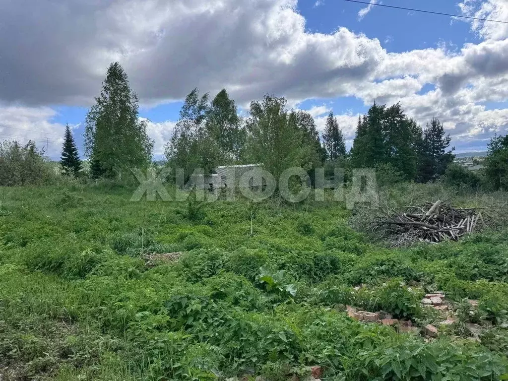 Участок в Томская область, Томский район, с. Коларово ул. Лесная (10.0 ... - Фото 1