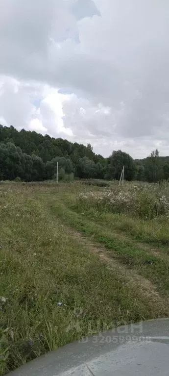 Участок в Чувашия, Чебоксарский муниципальный округ, Большекатрасьское ... - Фото 1