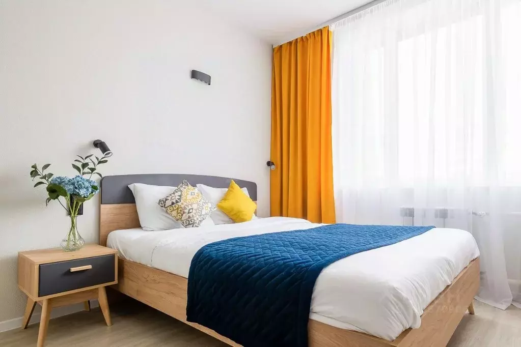 1-к кв. Новосибирская область, Новосибирск ул. Кирова, 113/2 (25.0 м) - Фото 1