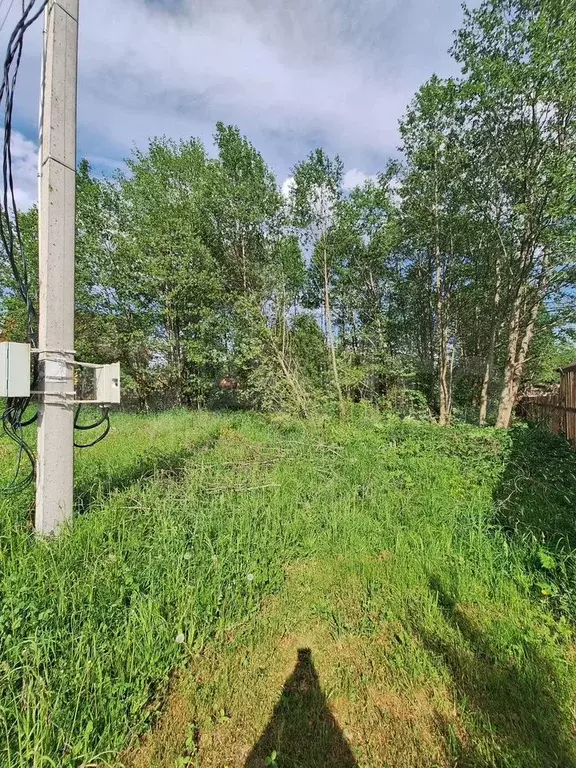 Участок 12 сот. (СНТ, ДНП) - Фото 1