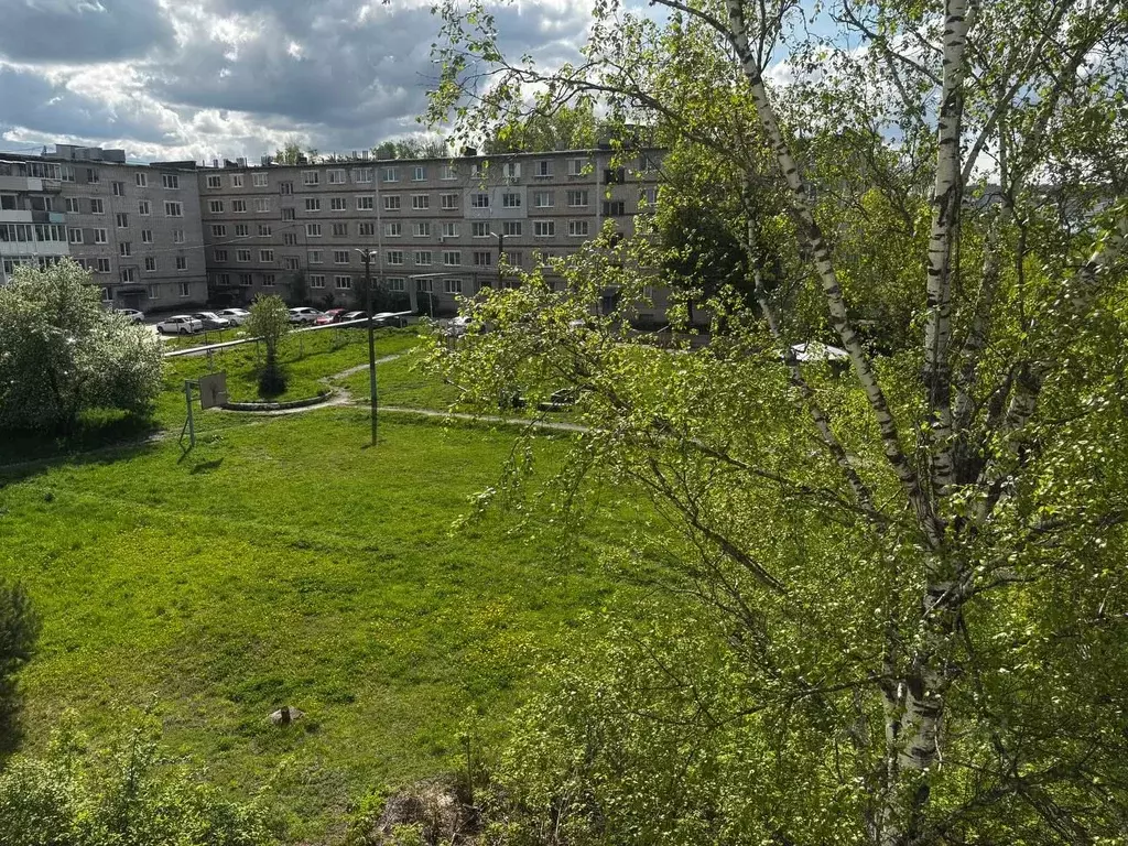 4-к кв. Нижегородская область, Павлово ул. Аллея Ильича, 49 (56.0 м) - Фото 1