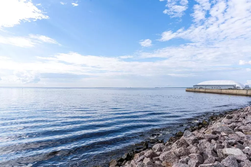 2-к кв. Санкт-Петербург ул. Челюскина, 10 (61.0 м) - Фото 2
