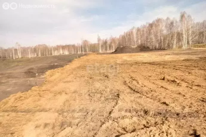 Участок в Мошковский район, село Новомошковское (7000 м) - Фото 1