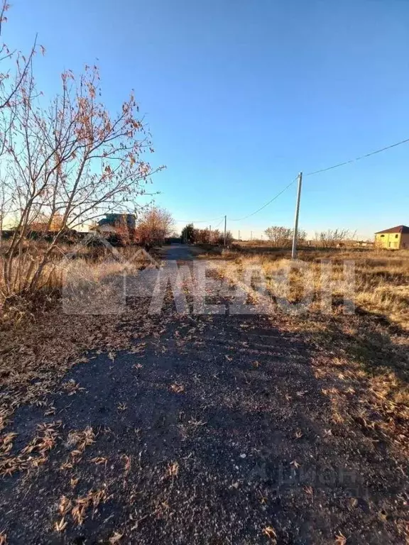 Участок в Омская область, с. Любино-Малороссы ул. Зеленовка (40.0 ... - Фото 0