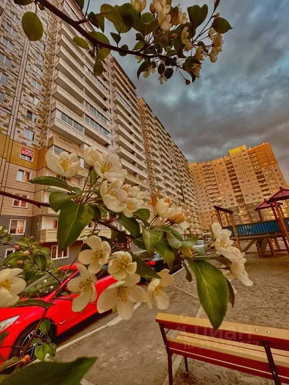 Студия Красноярский край, Красноярск ул. Светлова, 42 (25.0 м) - Фото 1
