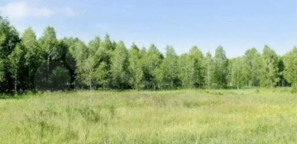 Участок 10,38 га (СНТ, ДНП) - Фото 1