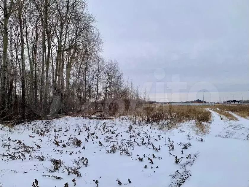 Участок 6 сот. (СНТ, ДНП) - Фото 1