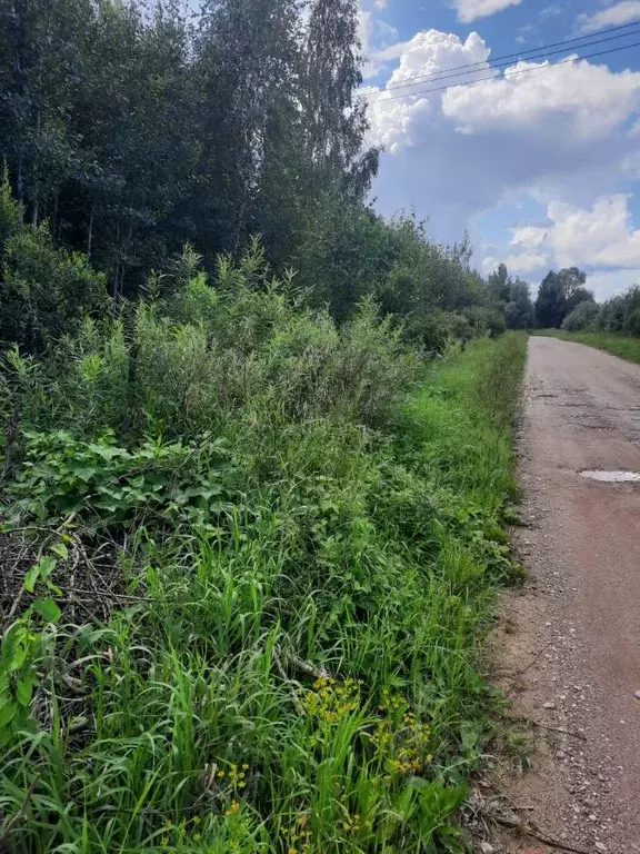 Участок в Новгородская область, Старорусский район, Великосельское ... - Фото 0