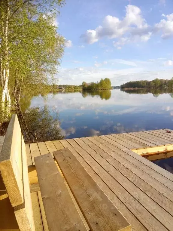 Дом в Карелия, Пряжинский район, с. Святозеро Лахтинская ул., 10Е (50 ... - Фото 1