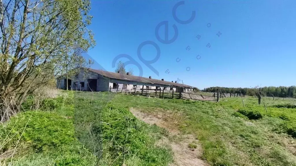 Участок в Нижегородская область, Сокольский городской округ, д. ... - Фото 0
