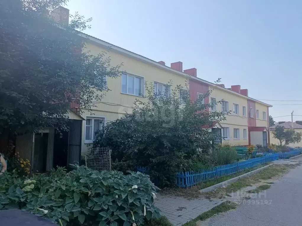 2-к кв. Белгородская область, Вейделевка рп ул. Мира, 65 (36.5 м) - Фото 1