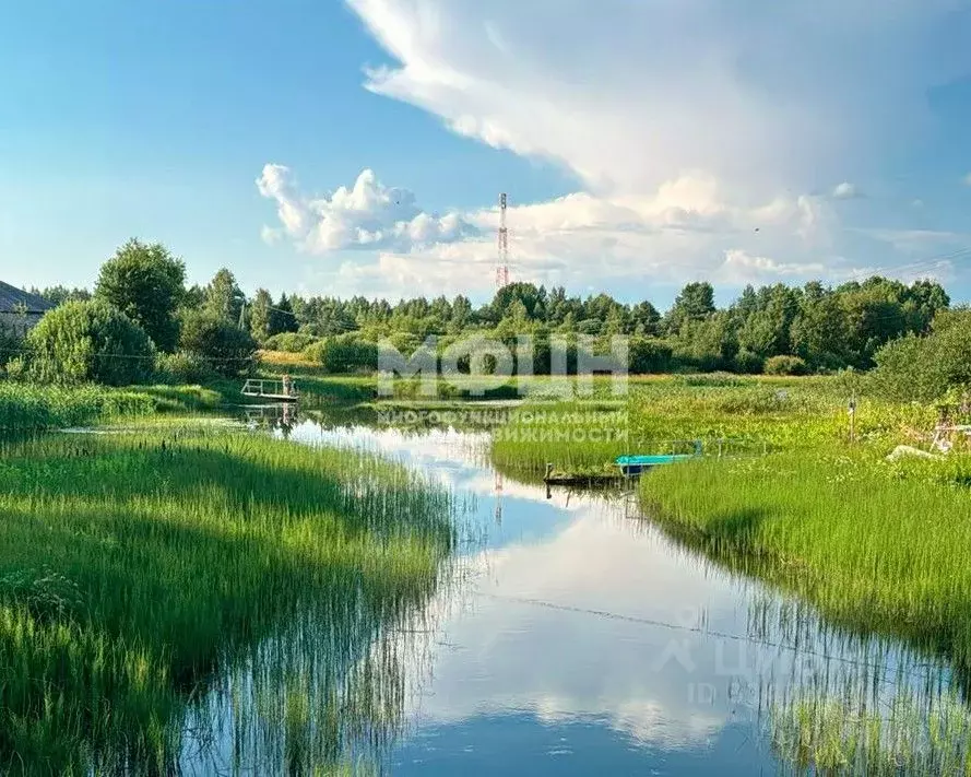 Участок в Карелия, Пряжинский район, с. Святозеро Лахтинская ул. (15.0 ... - Фото 0